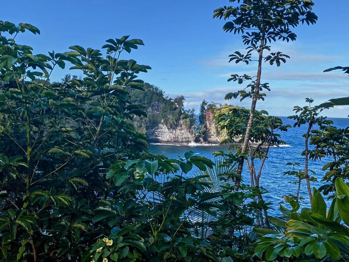 Unwind On Your Fantasy Hawaiian Vacation- 1Bd/1Ba Condo In Kailua-Kona, Hawaii エクステリア 写真