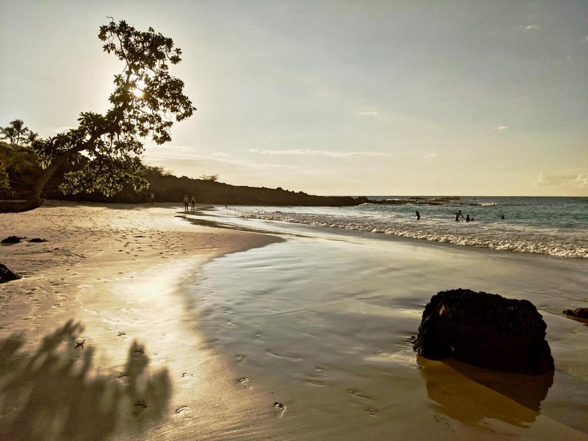 Unwind On Your Fantasy Hawaiian Vacation- 1Bd/1Ba Condo In Kailua-Kona, Hawaii エクステリア 写真